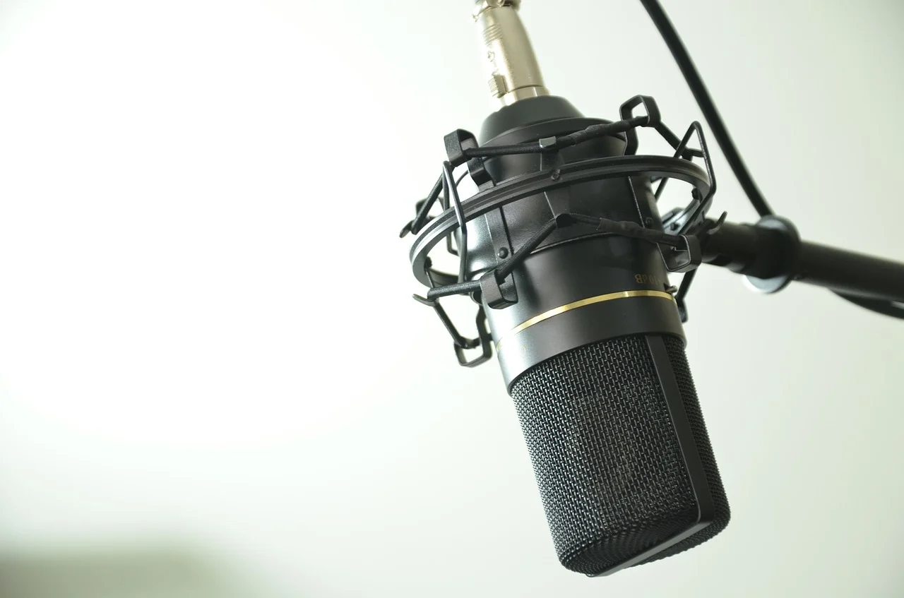 Make Sure You Invest in a Good Microphone